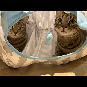 Meet your Posher, Rose